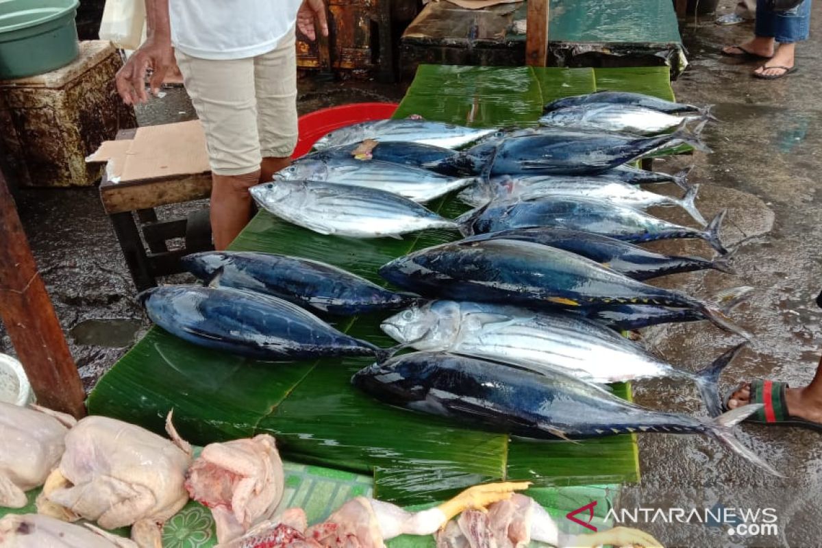 Harga berbagai jenis ikan segar di Ambon bergerak naik