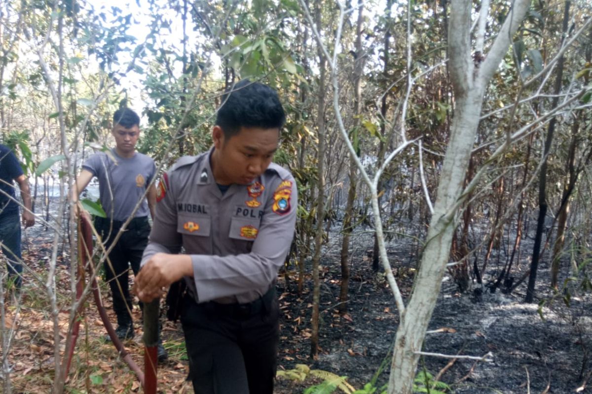 Kebakaran lahan di Kompleks Pemkab Bangka Barat berhasil dipadamkan