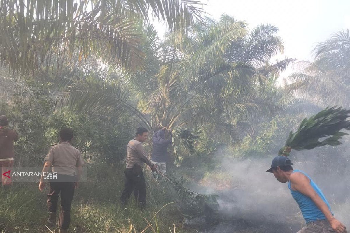 Jajaran Polres Mesuji padamkan kebakaran hutan  gambut