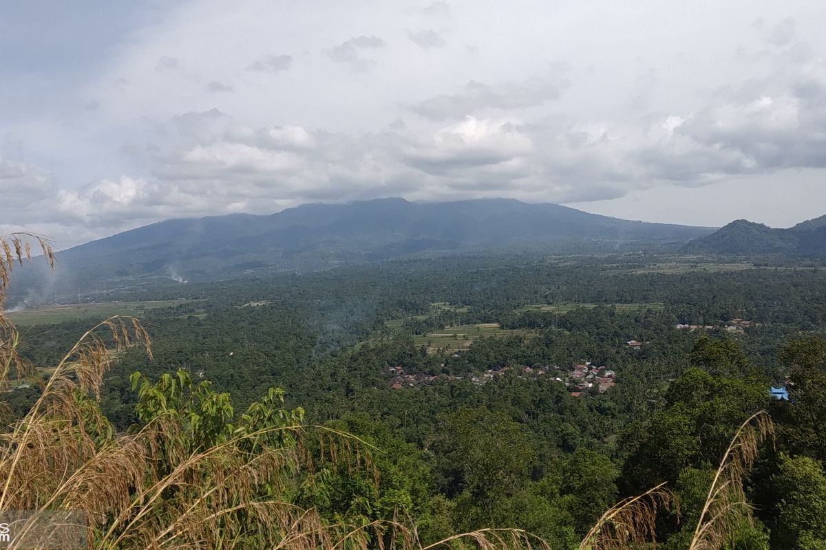 Sumsel menjadi percontohan restorasi bentang alam