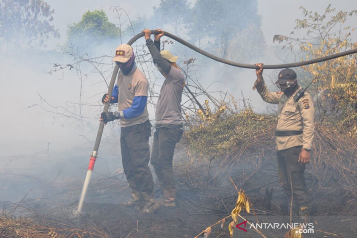 Kapolres Pelalawan sampai menginap di lokasi kebakaran