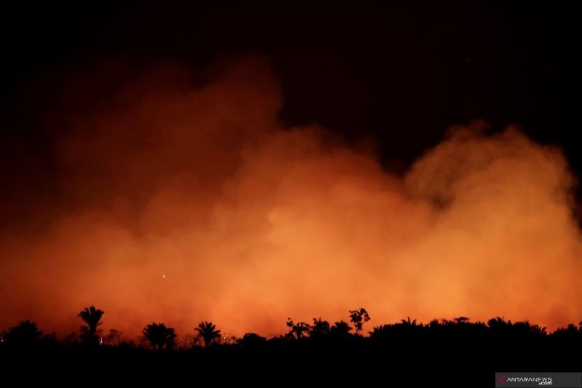 Brazil kerahkan tentara bantu padamkan kebakaran yang landa hutan Amazon