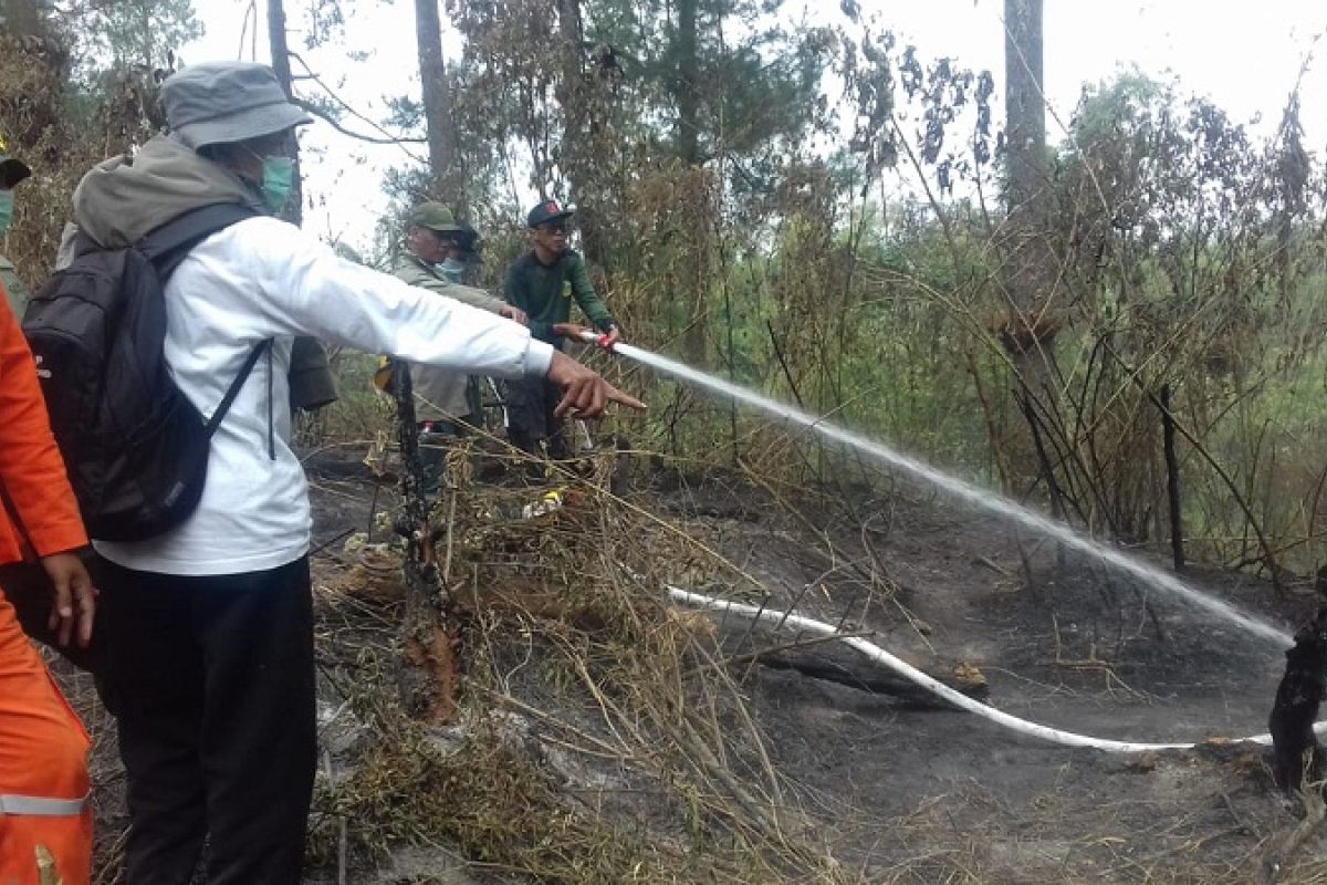 Kebakaran hutan di kawasan Merapi berhasil dipadamkan tim gabungan