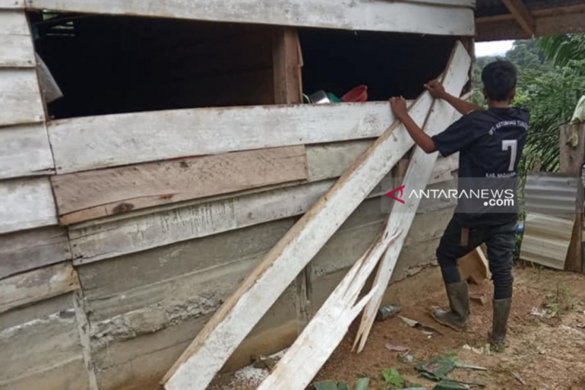 Gajah rusak rumah warga translok di Nagan Raya Aceh