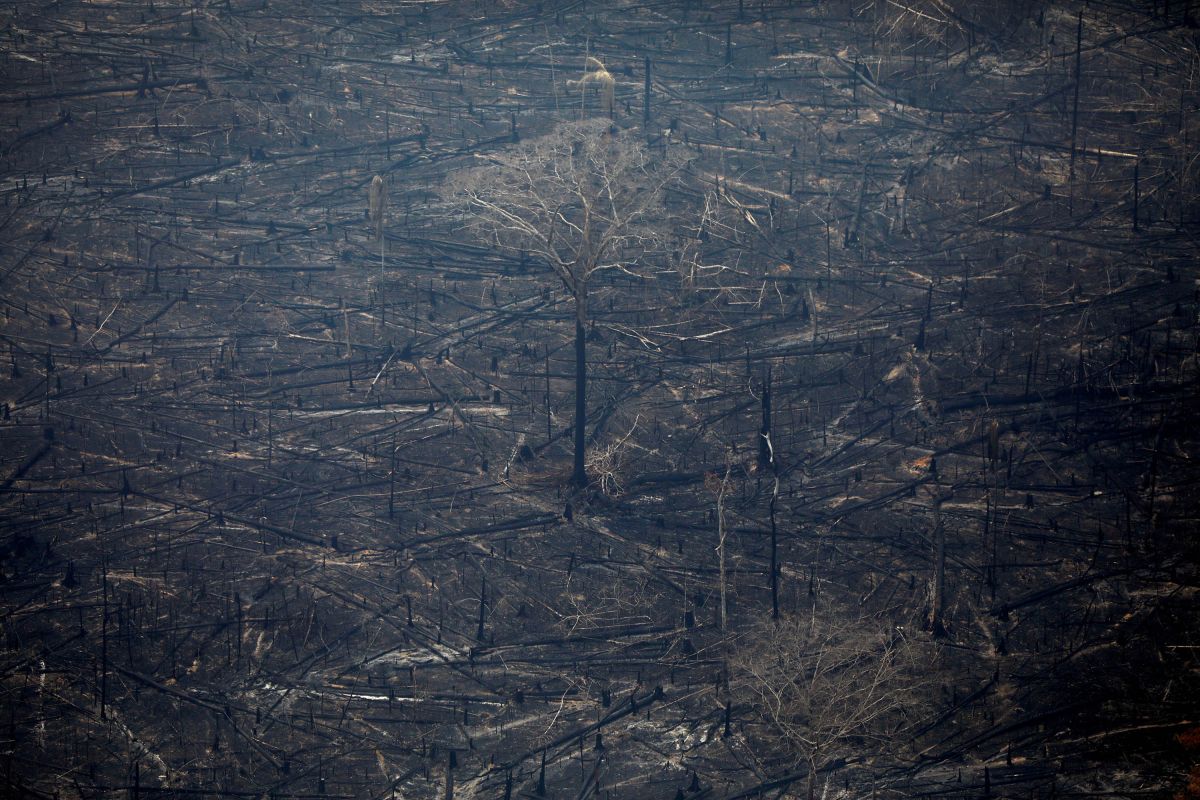 Hutan hujan tropis terbesar di dunia Amazon terbakar, pesawat Brazil ikut bantu pemadaman