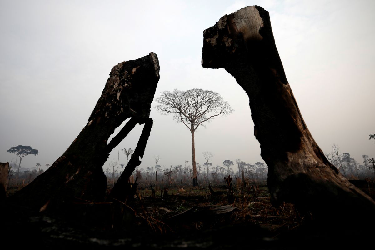 Paus Fransiskus seru komitmen global atasi kebakaran Amazon