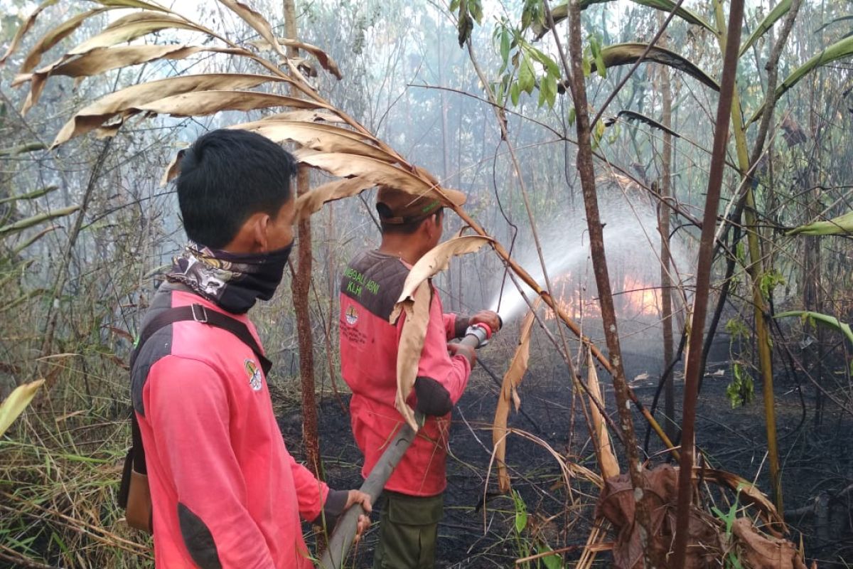 Sejak awal Agustus terdapat 71 titik api di Batanghari