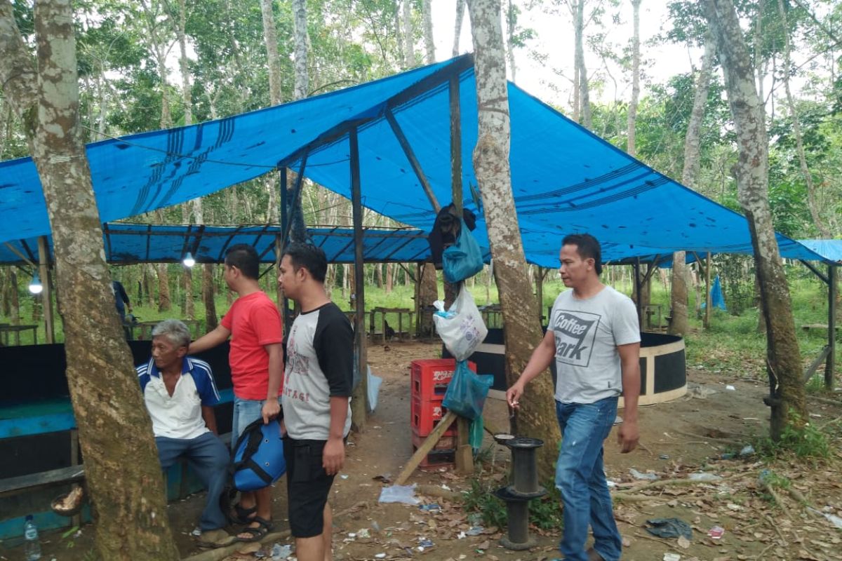 Polres Langkat ringkus tujuh pejudi