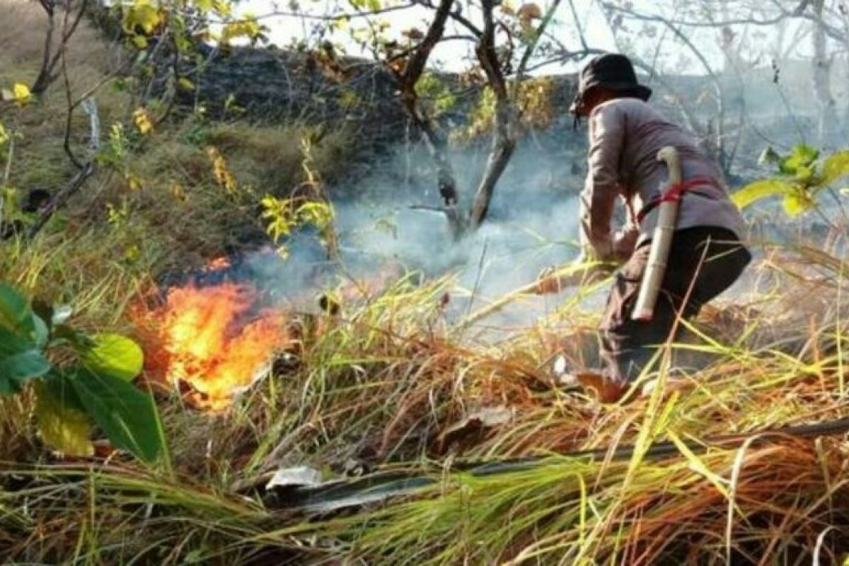 Dua hektare lahan  di Tubo Sendana-Majene terbakar