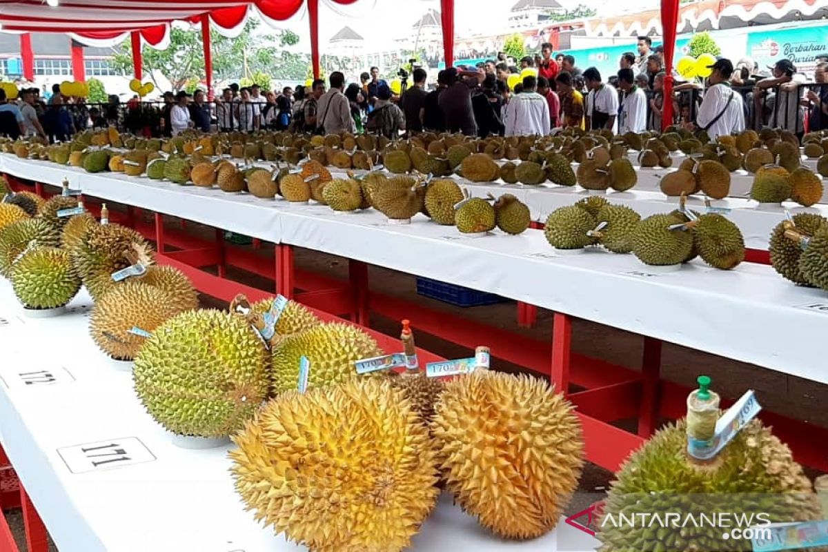 Pekan Raya Durian hari ini