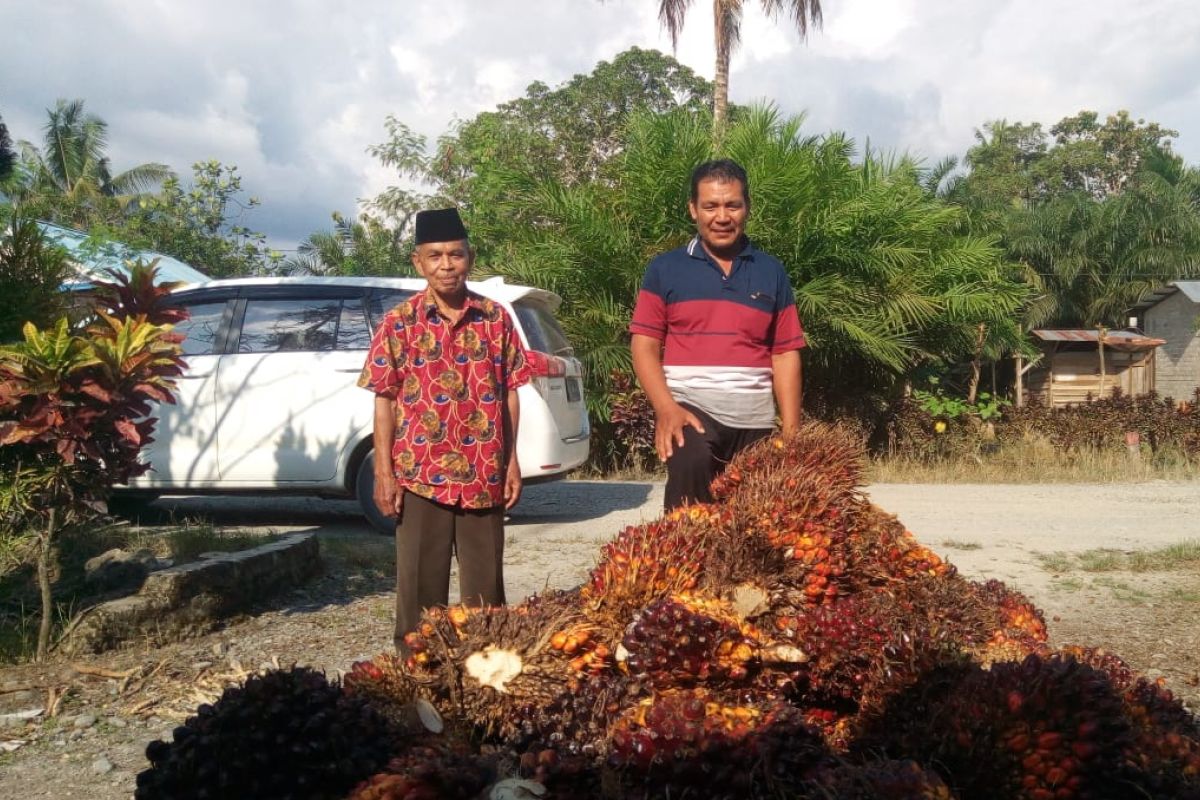 Masyarakat sejahtera dan kawasan berkembang pesat berkat  sawit