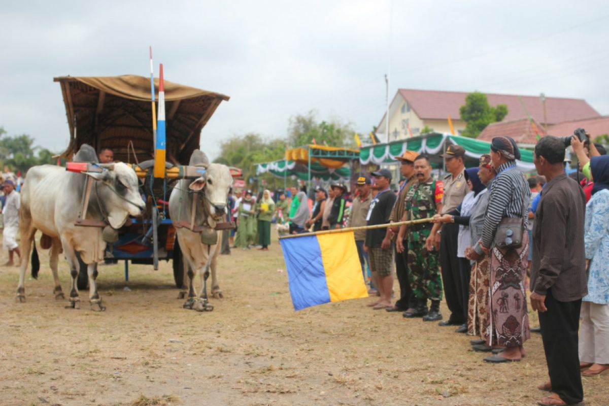 Puluhan peserta ikuti Festival Gerobak Sapi Merdeka di Sleman