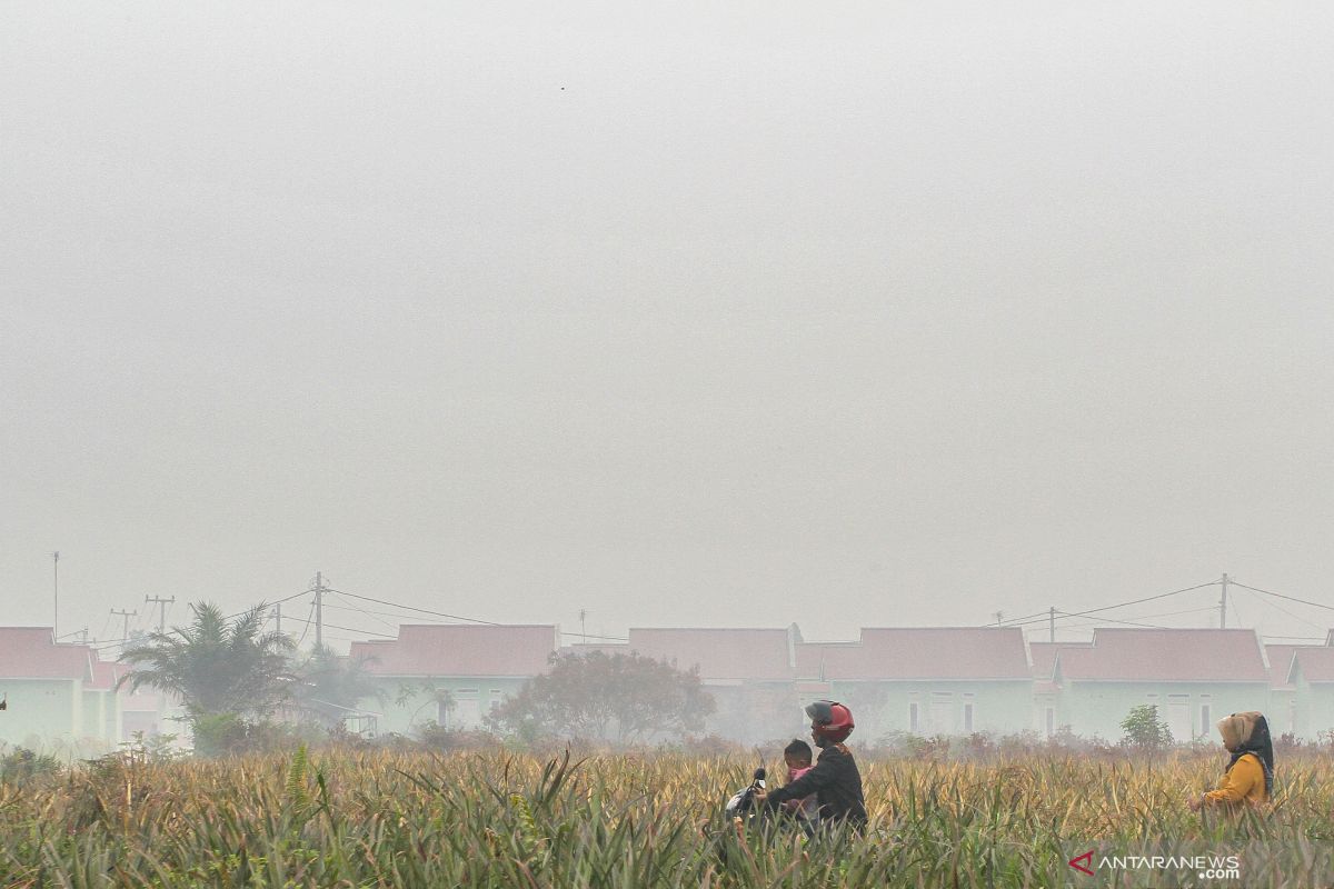 Masyarakat alami iritasi mata akibat asap Riau terus bertambah
