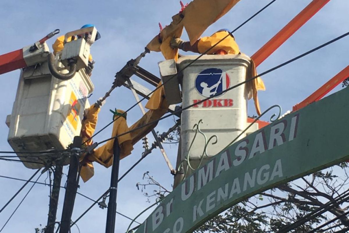PLN Bali miliki "pasukan khusus" untuk mengamankan listrik pelanggan