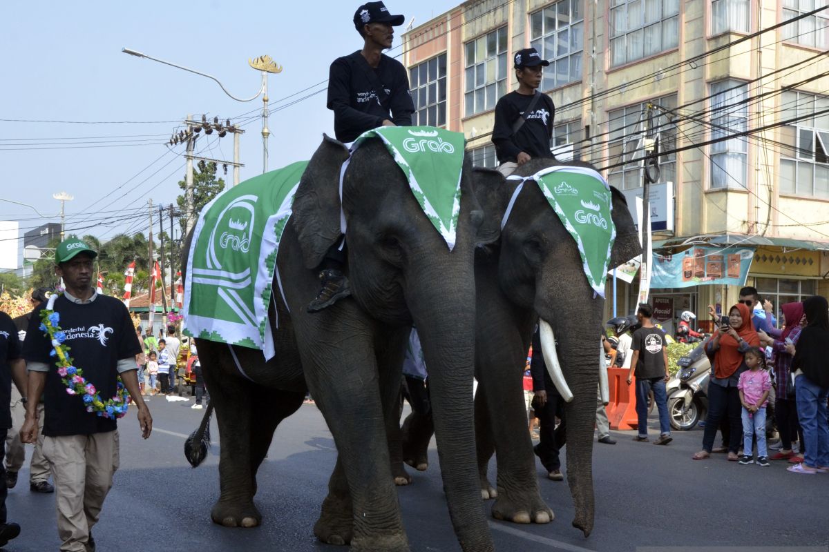 Lampung tahun 2020 gelar 86 kegiatan wisata