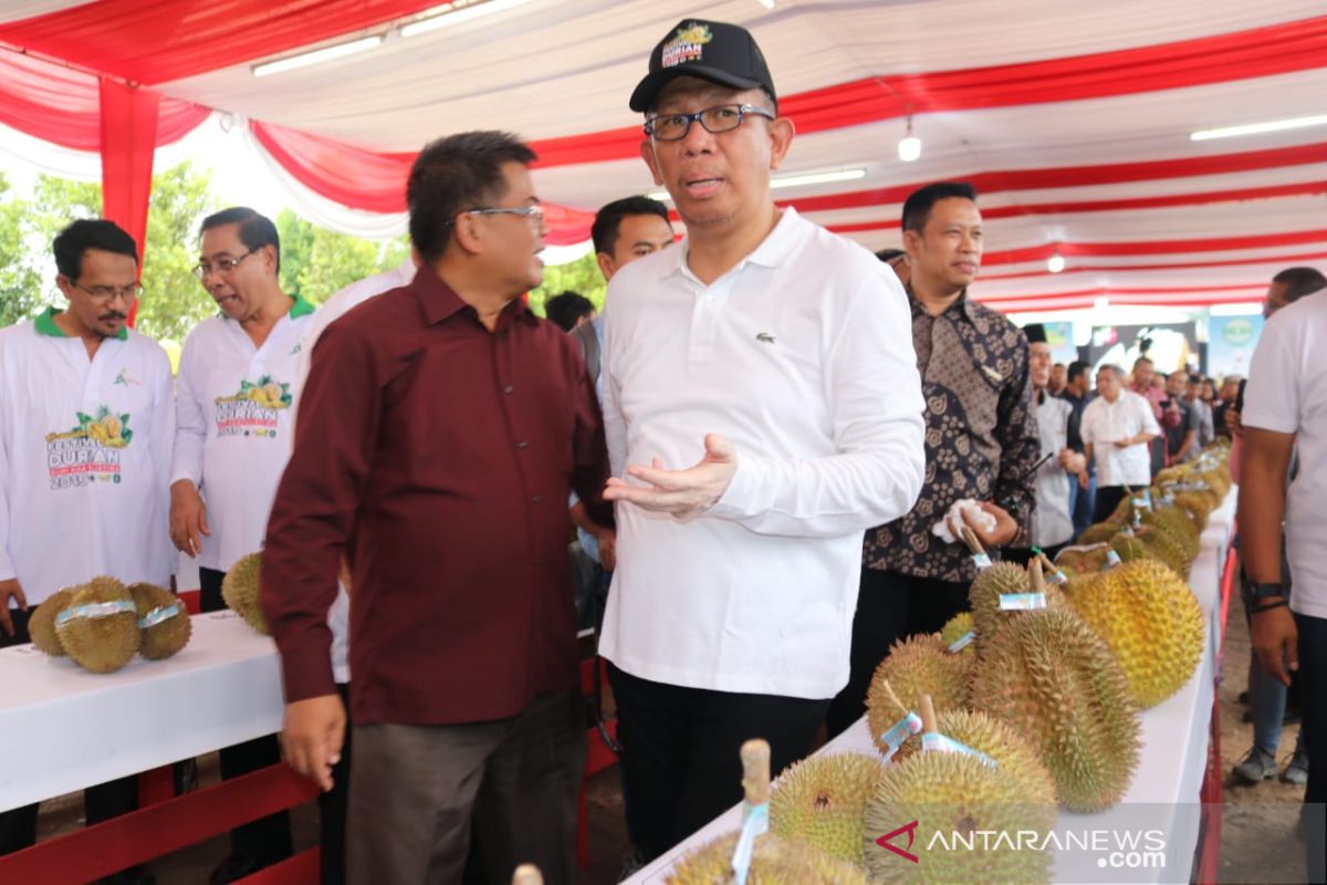Gubernur kenalkan 12 varietas durian unggulan Kalbar