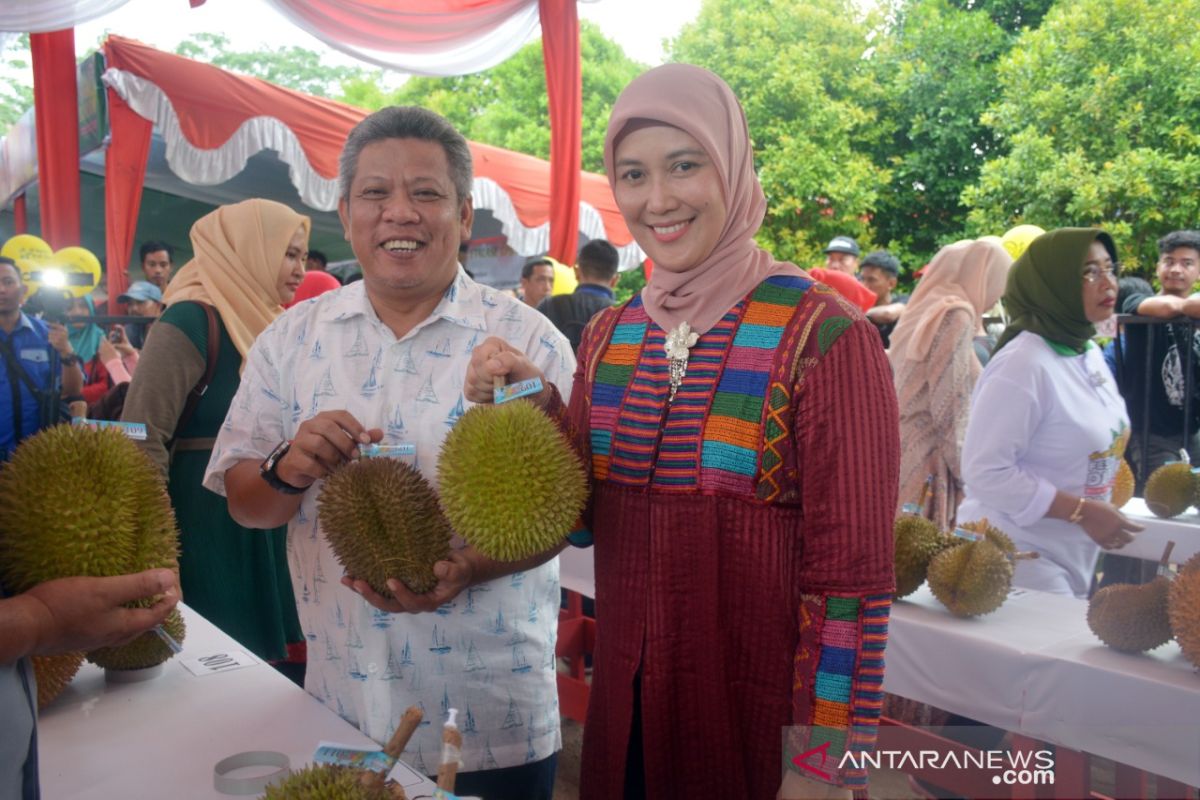 Bupati Kubu Raya dorong masyarakat budidayakan buah durian