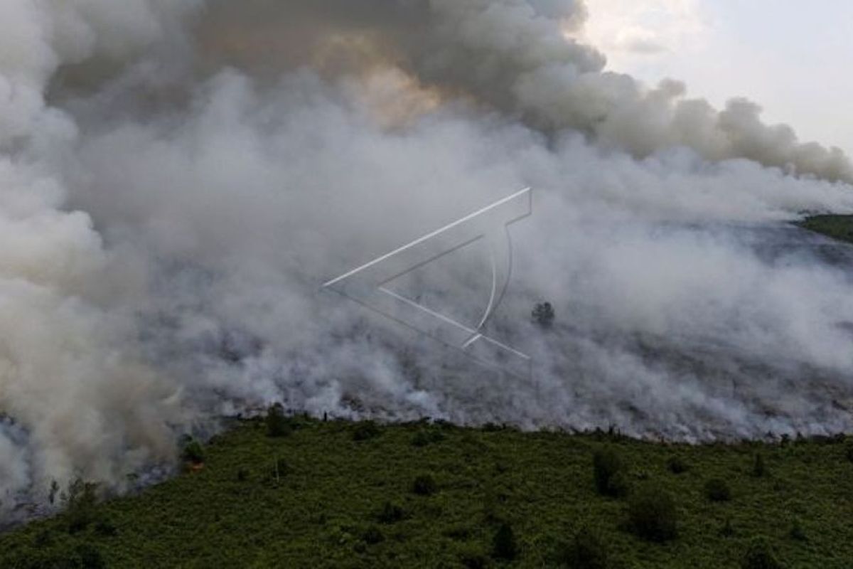 Helikopter pembom air memadamkan kebakaran di Sumatera Selatan