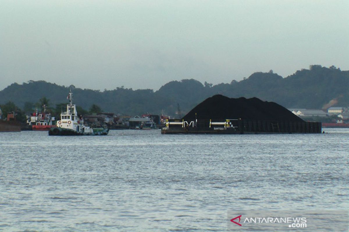 BUMI sumbang PNBP Rp9 triliun dari sektor minerba