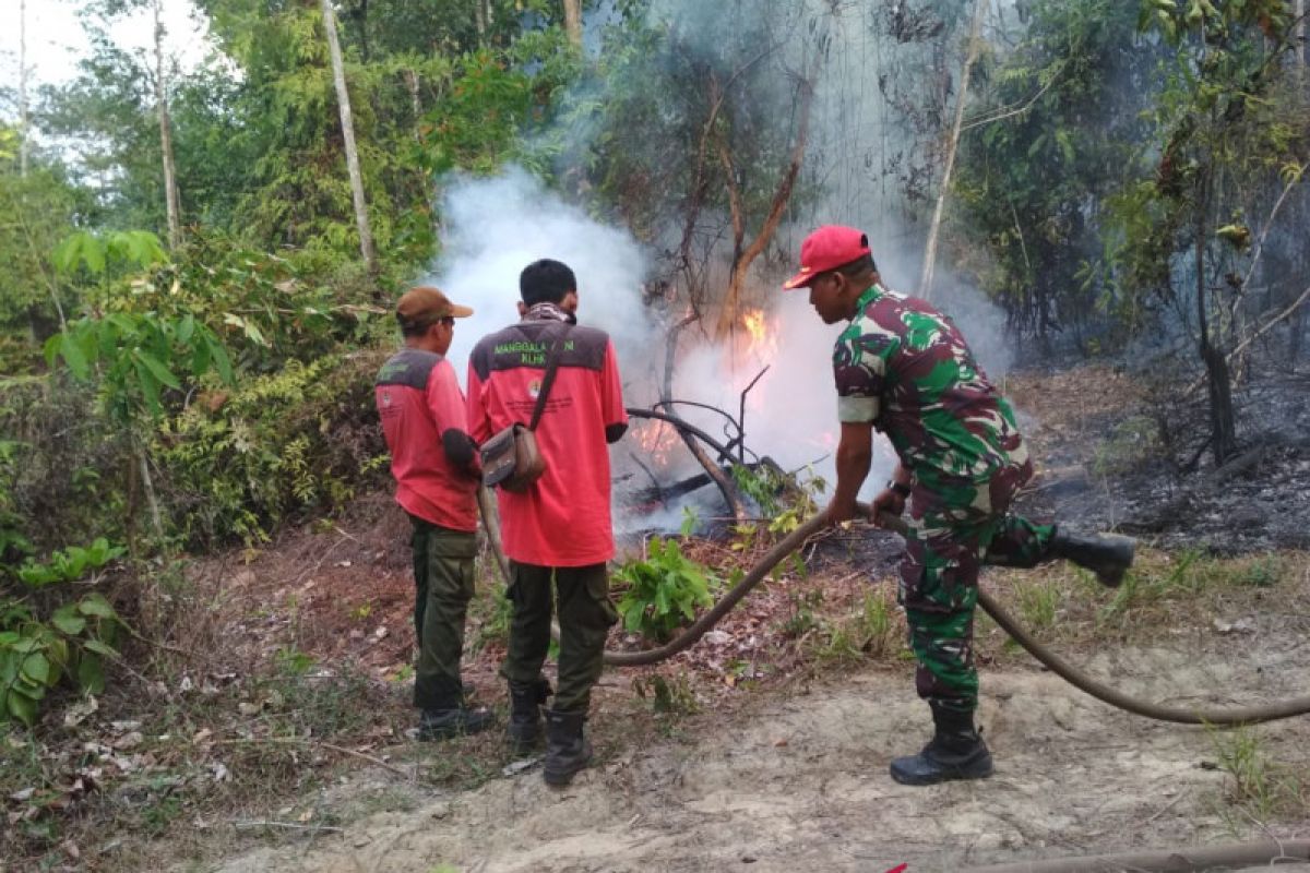 Pemadaman kebakaran di Tahura di Jambi harus gunakan water bombing