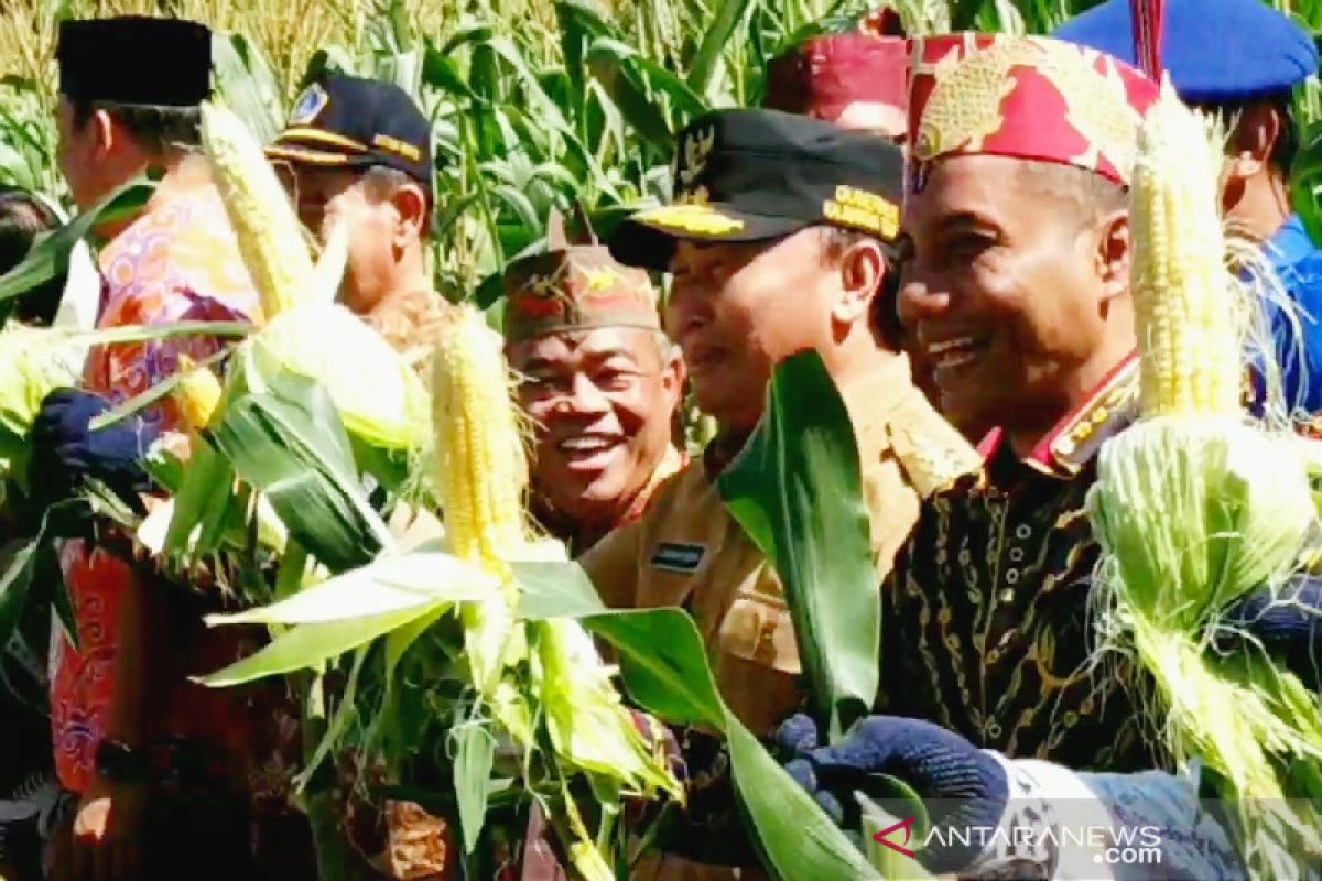 Gubernur Kalteng minta generasi muda tak malu menjadi petani