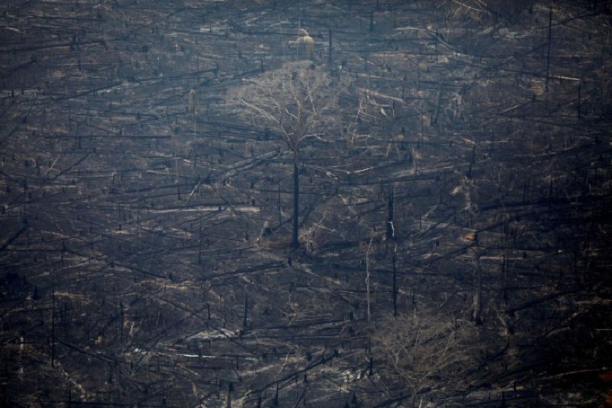 Pesawat tempur turut bantu pemadaman kebakaran Amazon