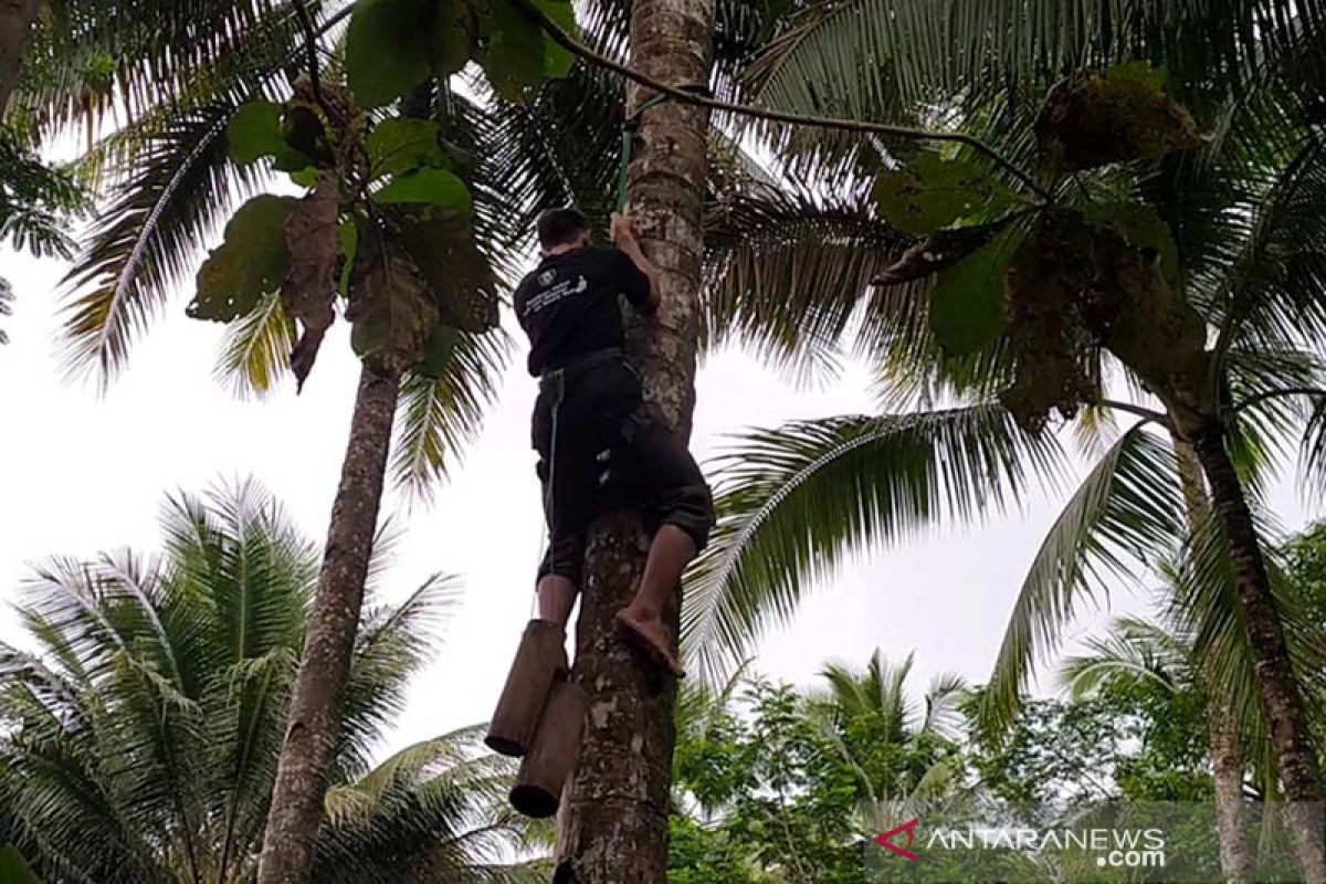 BI Purwokerto salurkan bantuan alat keselamatan bagi penderes nira  kelapa