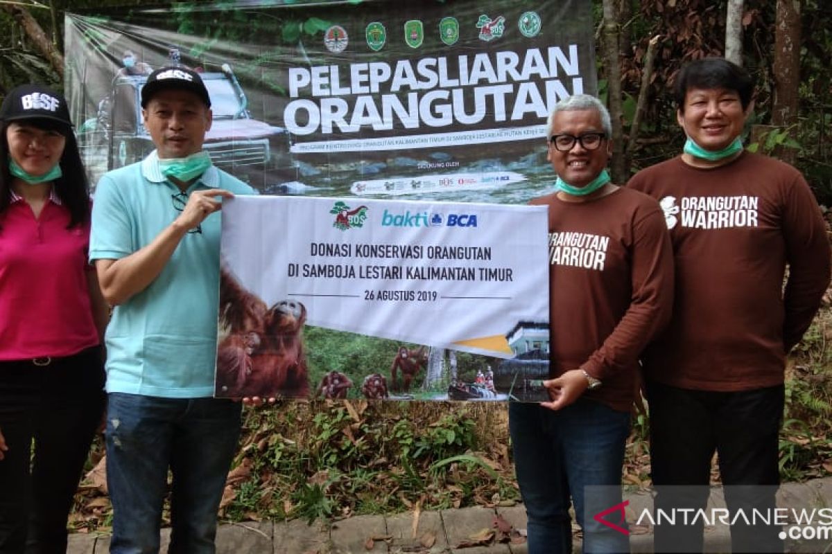 Yayasan BOS -BCA lepasliarkan orangutan di Hutan Kehje Sewen