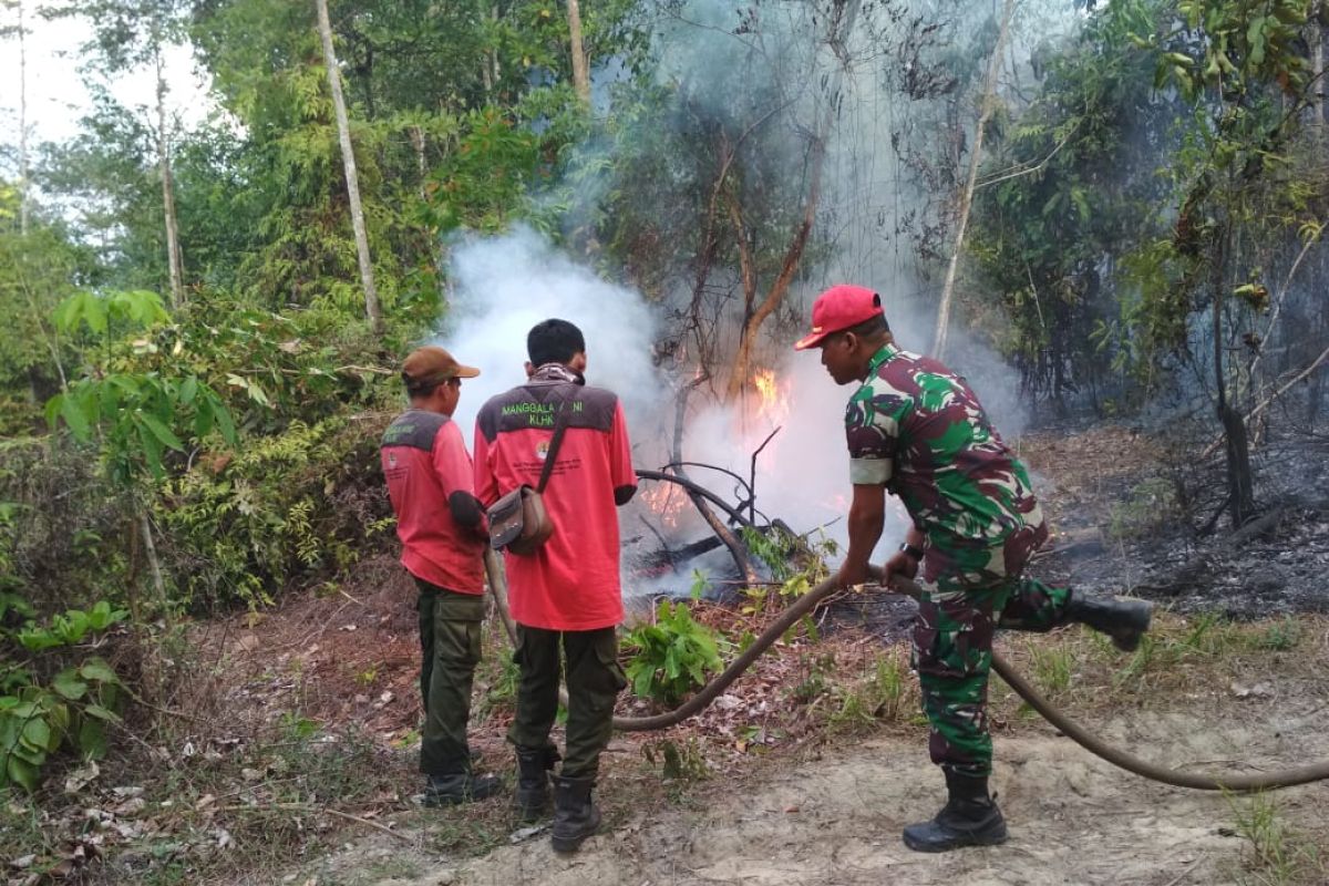 Setelah diguyur hujan Batanghari tidak ada titik api