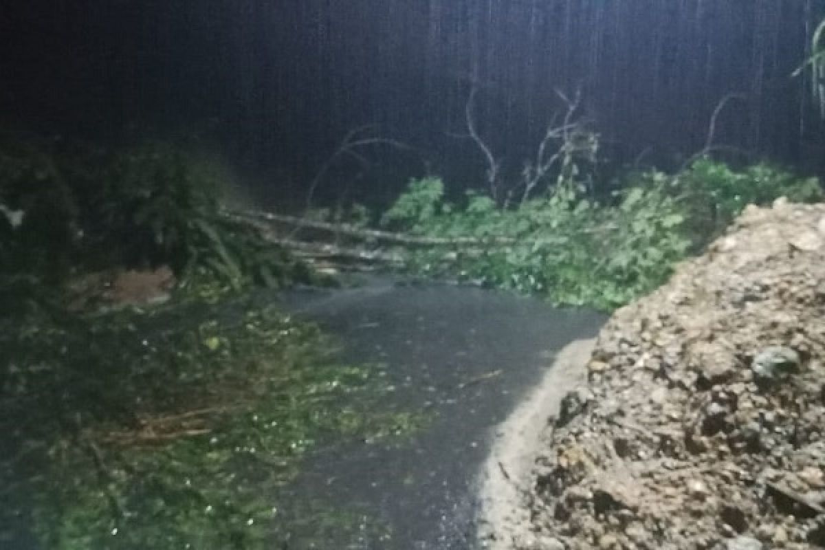 Longsor dan pohon tumbang tutup badan jalan Sibolga-Tarutung