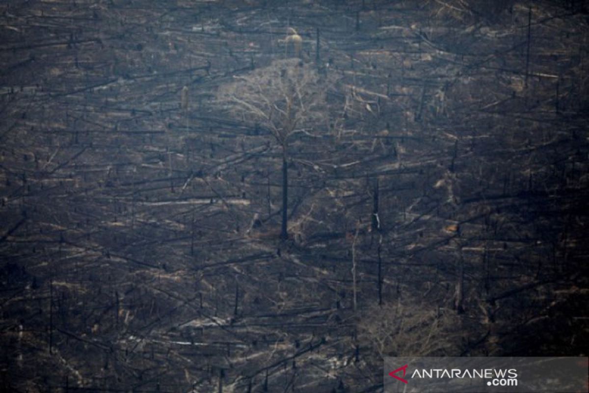 Brazil perintahkan dubesnya tidak berlibur mengingat kebakaran Amazon