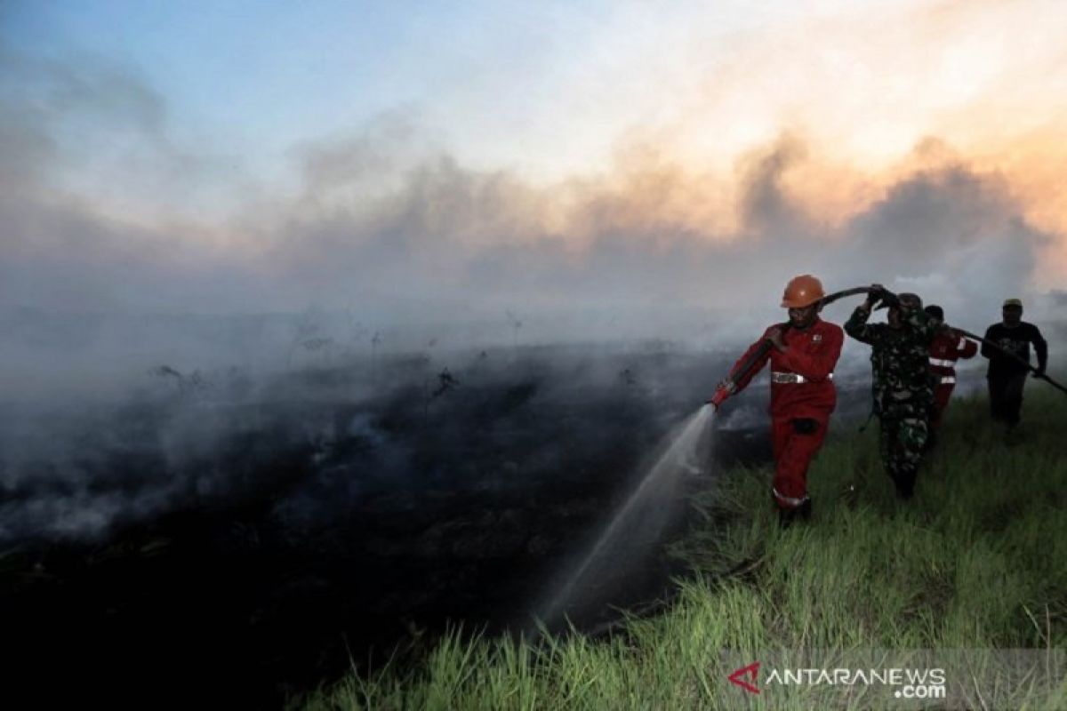 Luas area yang terbakar di Sumatera Selatan sudah mencapai 1.822 hektare