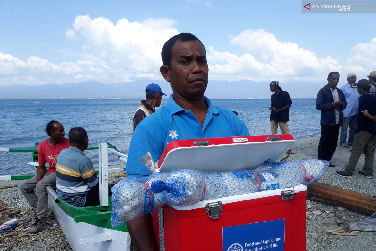 Nelayan Palu-Donggala mulai melaut setelah dapat bantuan dari FAO