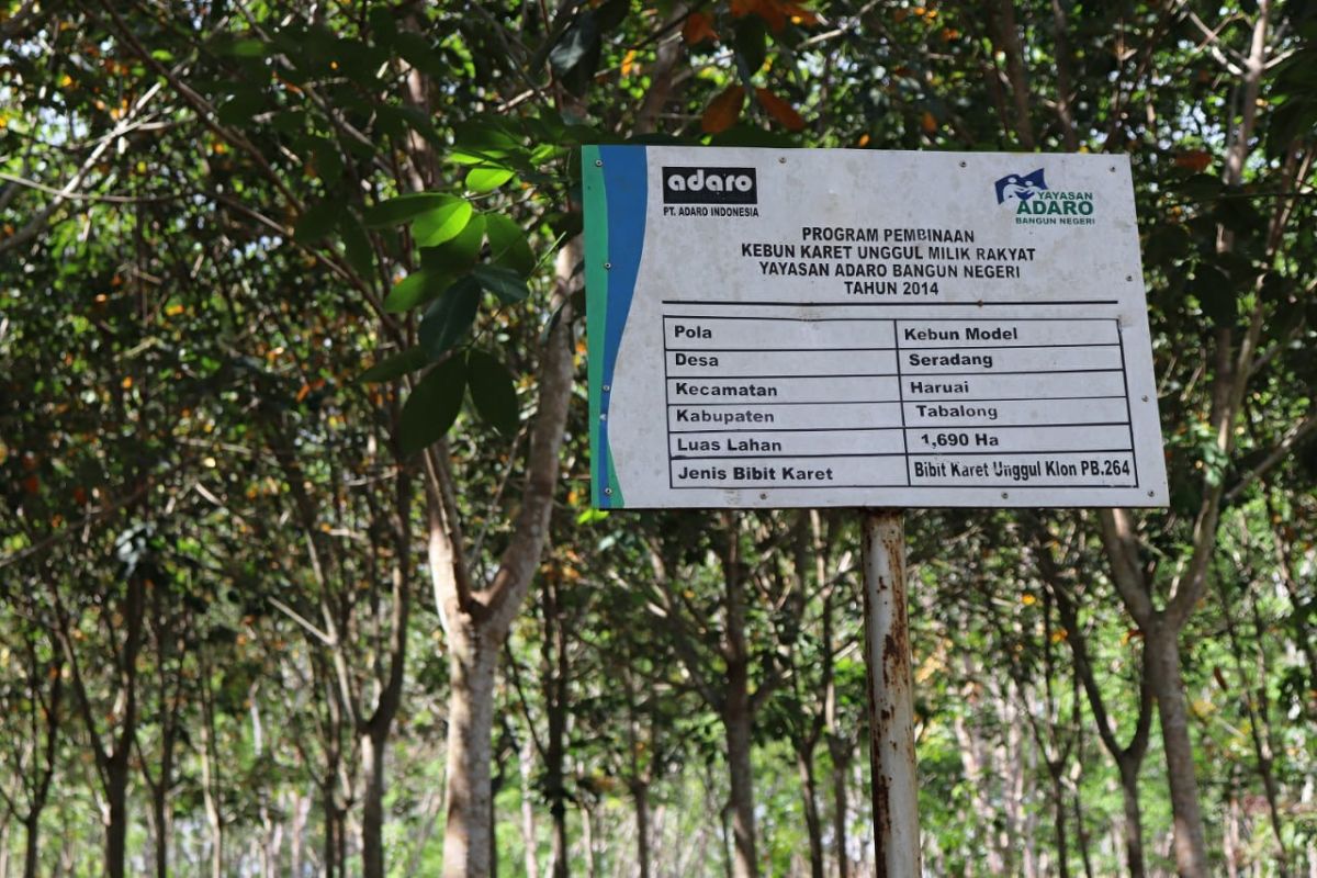 Tabalong to embrace PT Bumi Jaya for rubber marketing