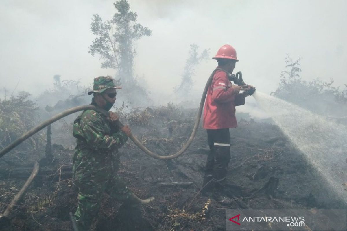 Satgas karhutla hanya bisa mengoperasikan dua heli