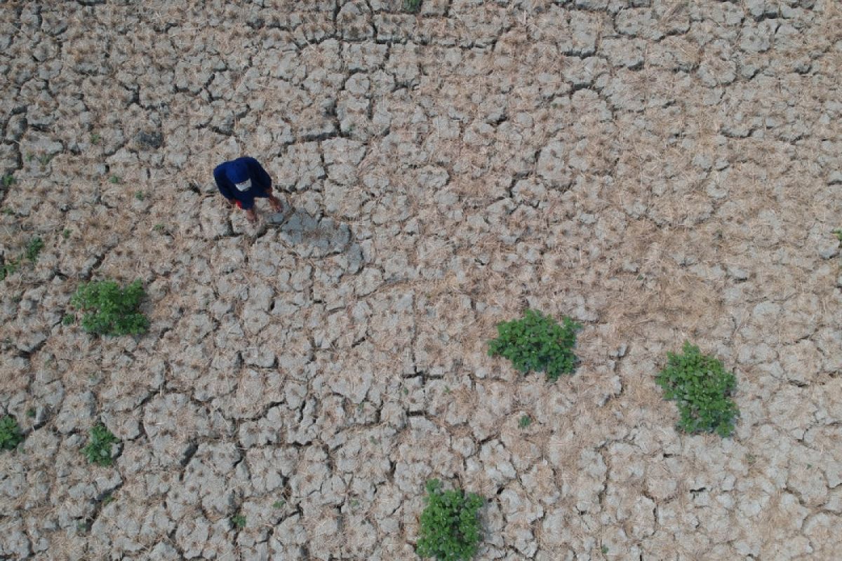 ACT bantu permudah akses air melalui pipanisasi di Bojonegoro