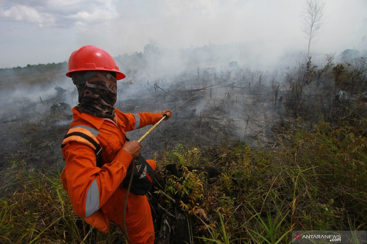 358 titik panas indikasi awal kebakaran hutan terdeteksi di Sumatera