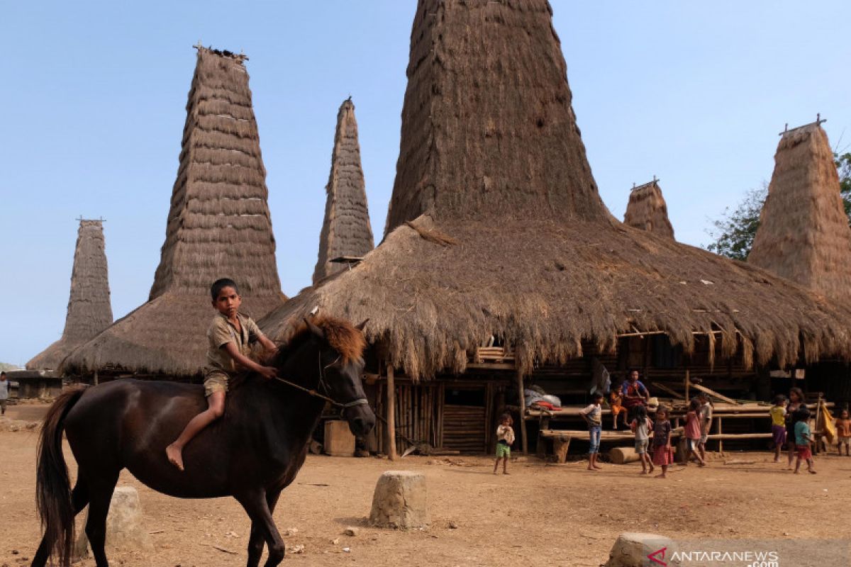 Kampung Toda jadi rumah singgah bagi wisatawan di Sumba Barat Daya