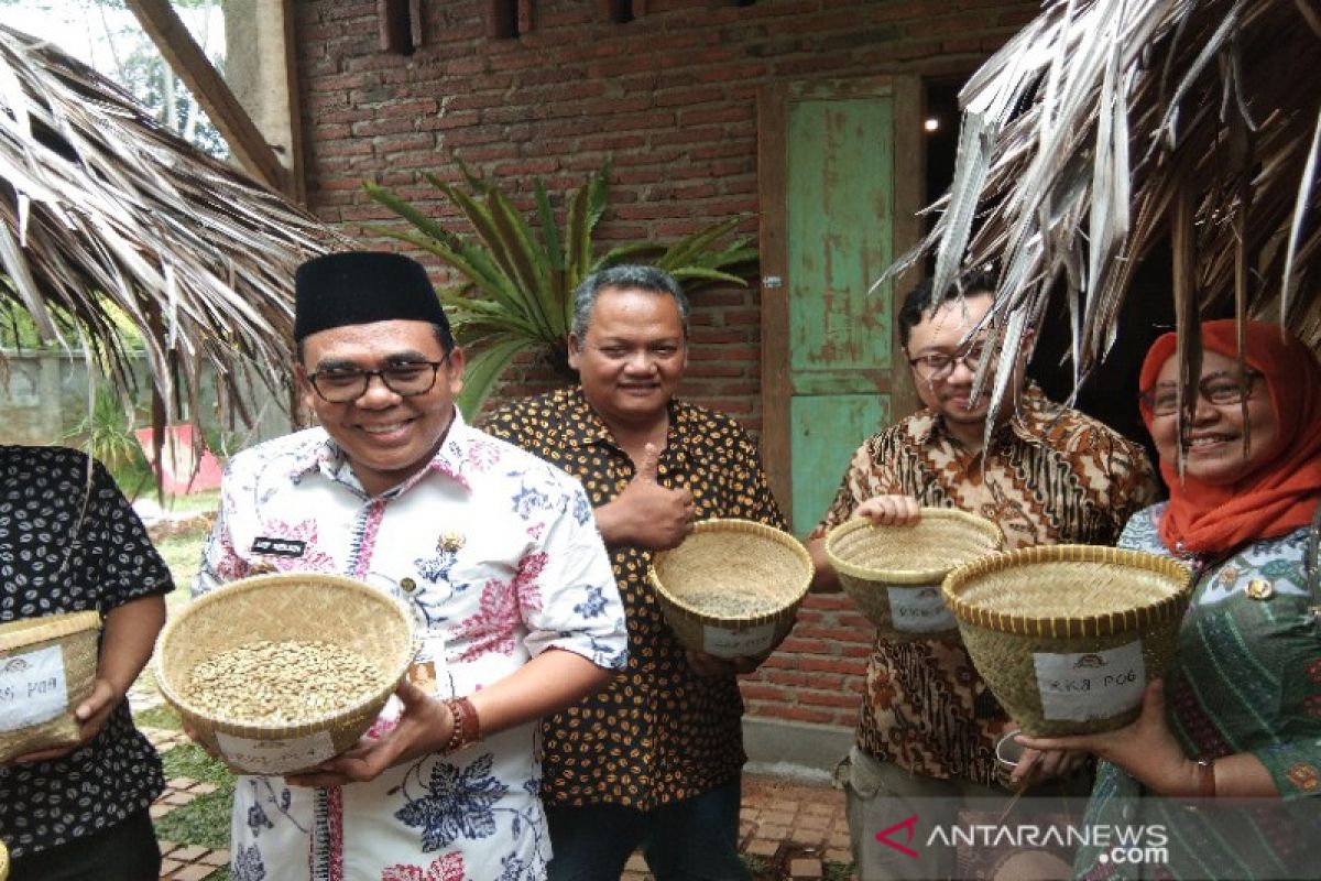 Pekalongan bakal sediakan lahan kopi 26.000 hektare