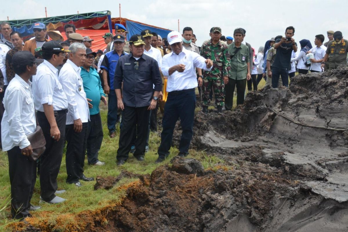 Ogan Komering Ilir kejar  target produksi 1,3 juta ton padi