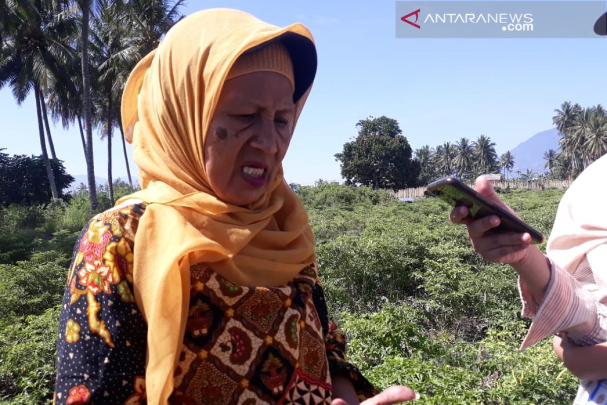 Petani di Sigi butuh air untuk garap lahan pertanian