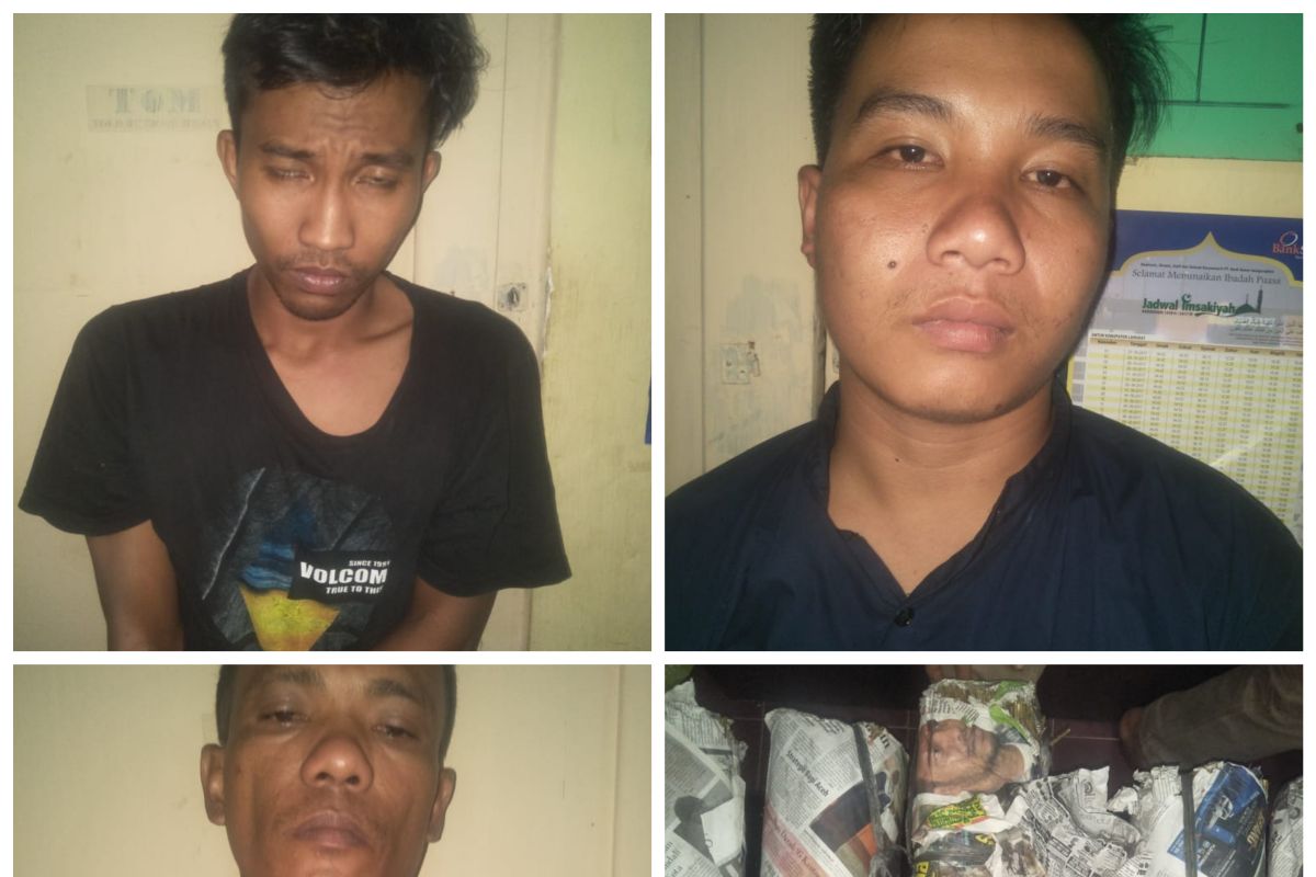 Polisi Tanjungpura tangkap tiga tersangka pemilik daun ganja