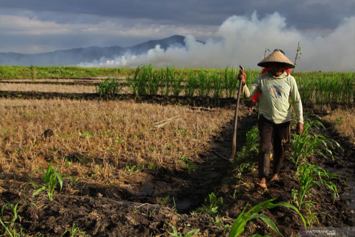 Petani punya peran besar cegah karhutla