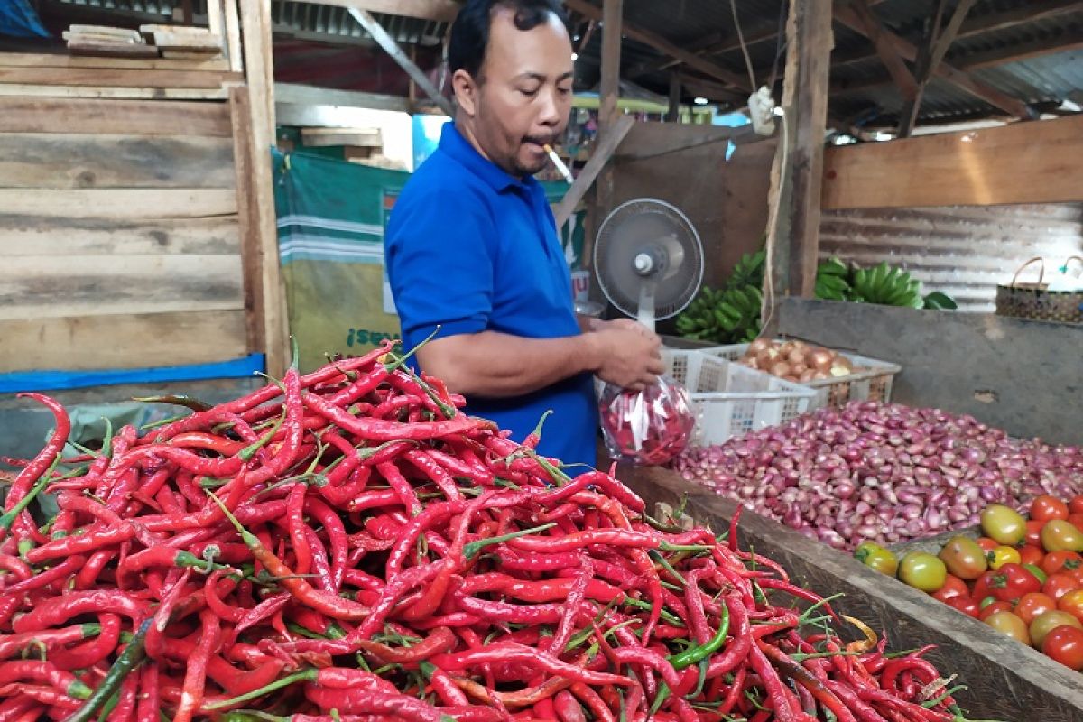 Harga cabai di Bandarlampung berangsur turun