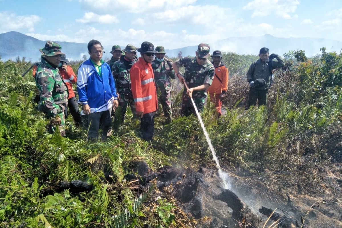 Terbakar, 20 hektare lahan gambut di Kolaka Timur