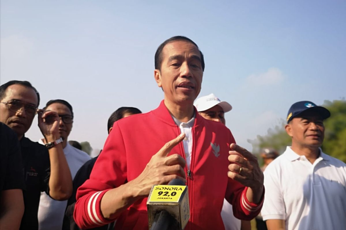 Presiden Jokowi tinjau Candi Borobudur