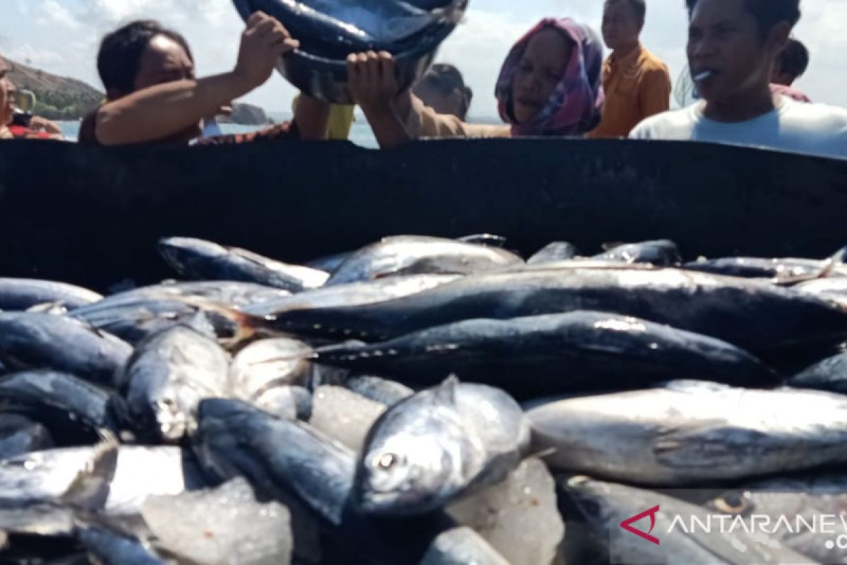 Ekspor tuna NTB mencapai Rp10,58 miliar