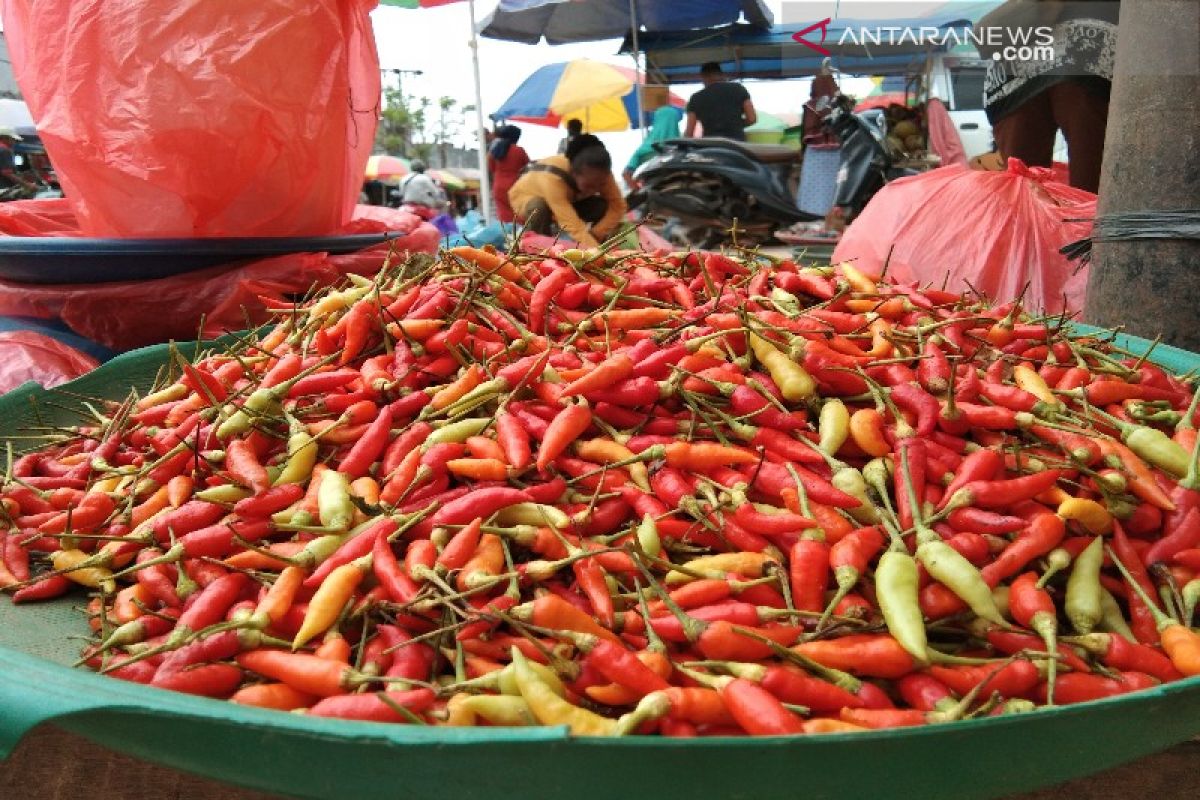 Indonesia's inflation rises 0.12% in August 2019