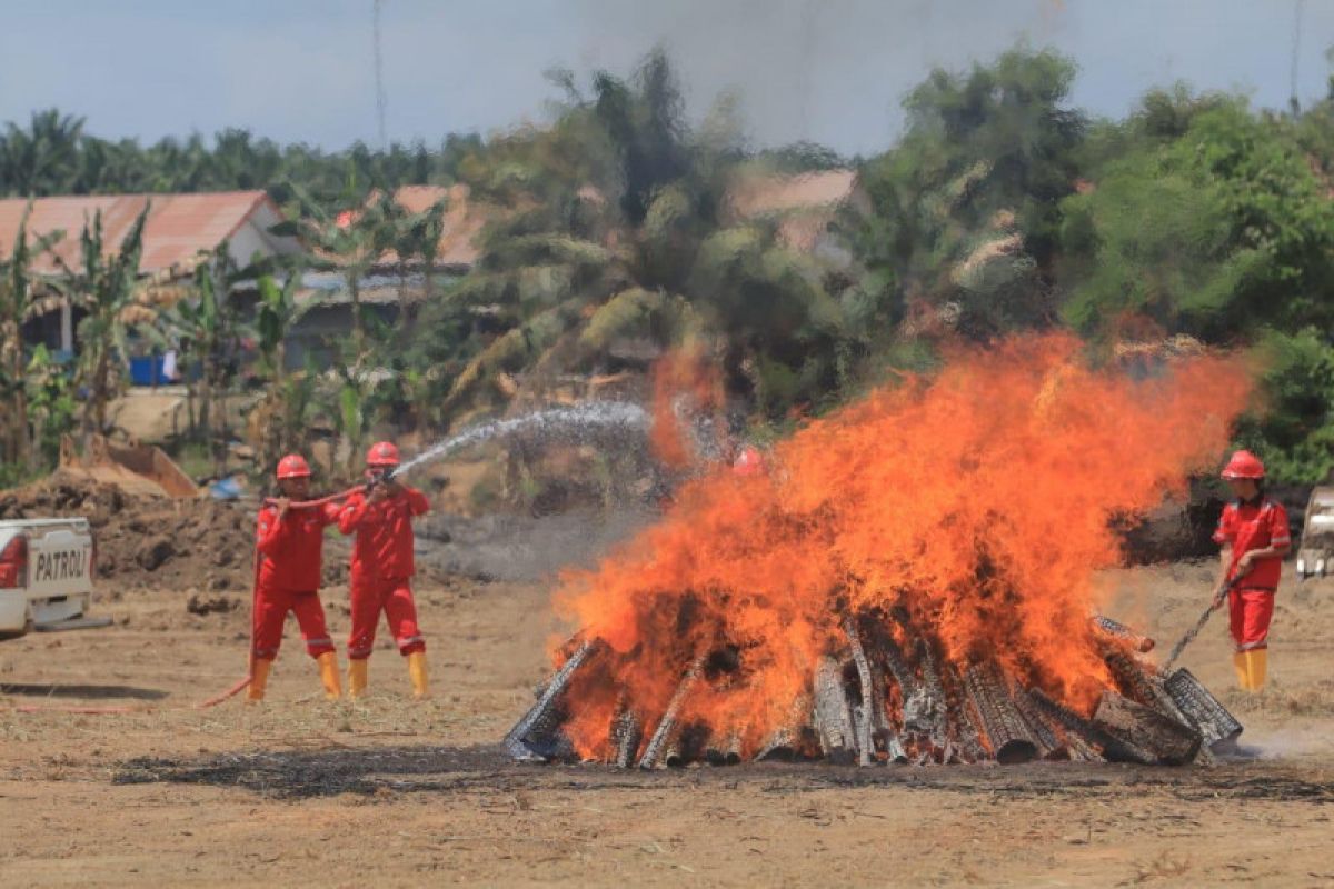 Tekan karhutla, Astra Agro kembangkan sistem deteksi dini