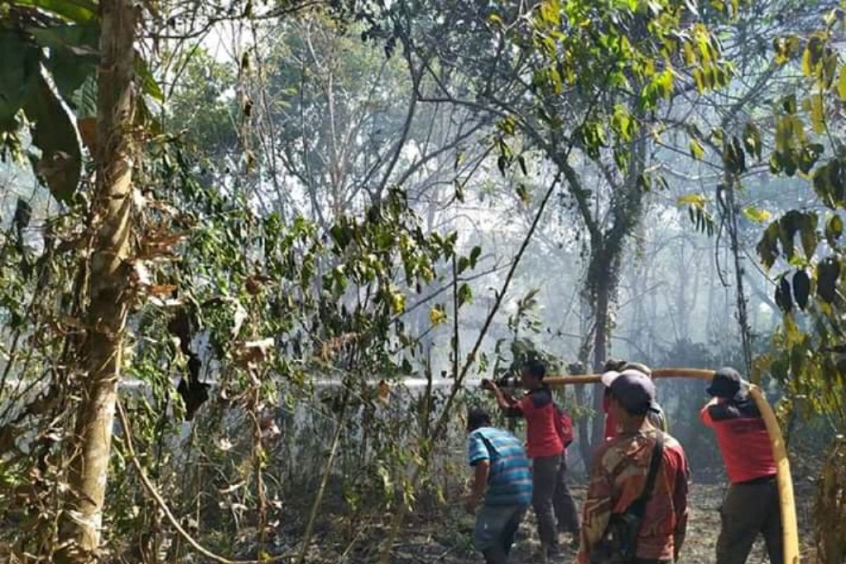 DLH Paser Padamkan Kebakaran Lahan